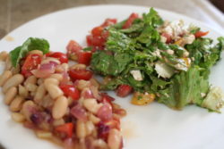 White bean, fennel, and red onion salad with honey miso dressing, paired with a lettuce, tomato and feta salad